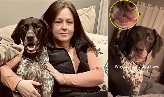 Dog with 'human lips' blows his owner kisses