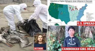 DR. JENNIFER NUZZO: H5N1 isn't easily infecting human YET