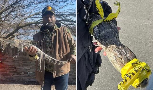 Fisherman is shocked to find a caiman in Pennsylvania park lake