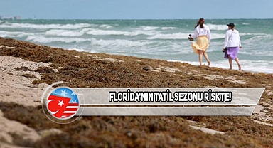 Florida Sahillerine Yaklaşan Büyük Tehlike!