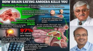 Floridians told not to let tap water on face amid amoeba fears