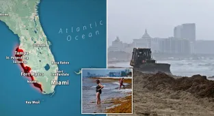 Gigantic 5,000-mile blanket of rotting seaweed can be seen from space