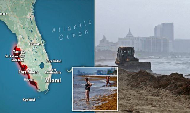 Gigantic 5,000-mile blanket of rotting seaweed can be seen from space