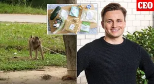 HelloFresh drops Thai coconut milk over monkey labor allegations