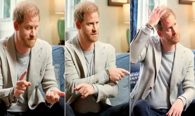 JULIE BURCHILL'S verdict on Prince Harry's 'intimate conversation'