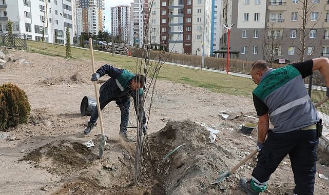 Kayseri Talas'ta ağaçlandırma sezonu açıldı