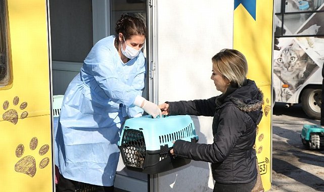 Kocaeli'nde sokak kedilerine kısırlaştırma karavanı