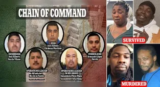 Leaked DEA document reveals Gulf Cartel structure