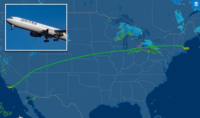 Man, 33, arrested trying to open plane door then attacking attendant