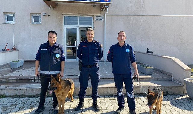 Manisa'da iki can dostunu Jandarma sahiplendi