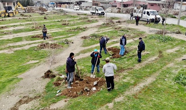 Manisa'da 'yeşil' atılım