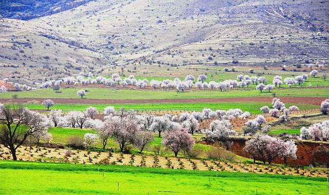Mardin Yeşilli'de renk cümbüşü