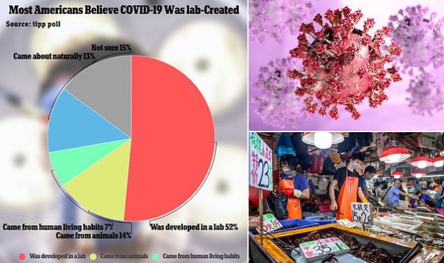 More than HALF in US now say Covid-19 came from a laboratory