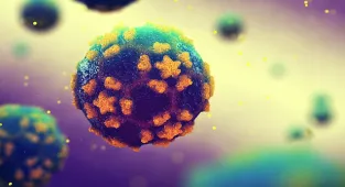 New York issues polio warning for travelers to Israel