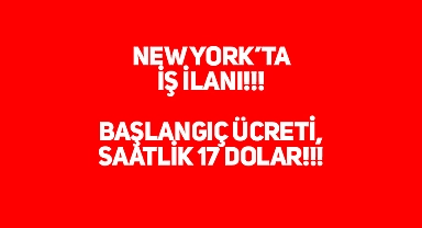 New York'ta Eleman Aranıyor!!!