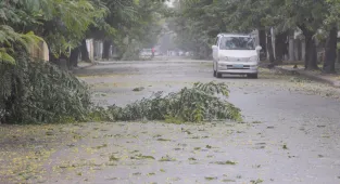 One dead as Cyclone Freddy lashes Mozambique for second time