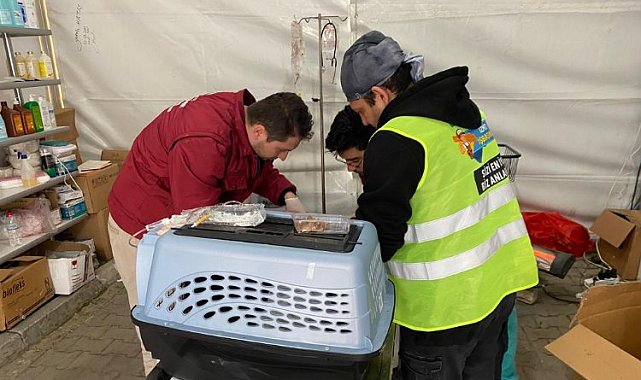 Patibüs, afet bölgesindde can dostlarının yaralarını sarıyor