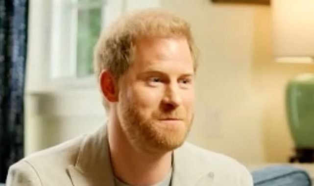 Prince Harry's words will cause huge harm, says DR MAX PEMBERTON 