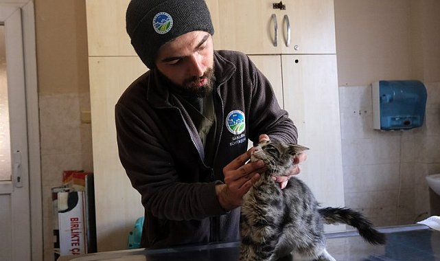 Sakarya'nın veteriner ekibi Antakya'da can dostlarının yanında