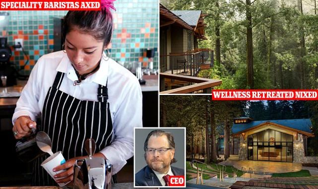 Salesforce CEO cancels plan to lay off bottom 5% each year