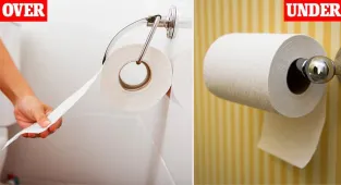 The correct way to hang toilet paper revealed