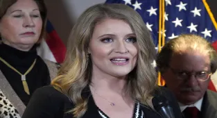 Trump’s ex-lawyer Ellis censured over 2020 election fraud claims