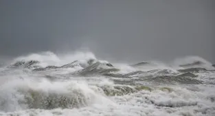 UN agree historic new treaty to protect the high seas