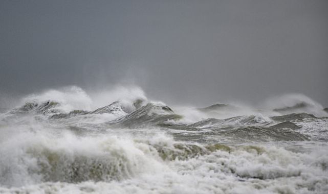 UN agree historic new treaty to protect the high seas