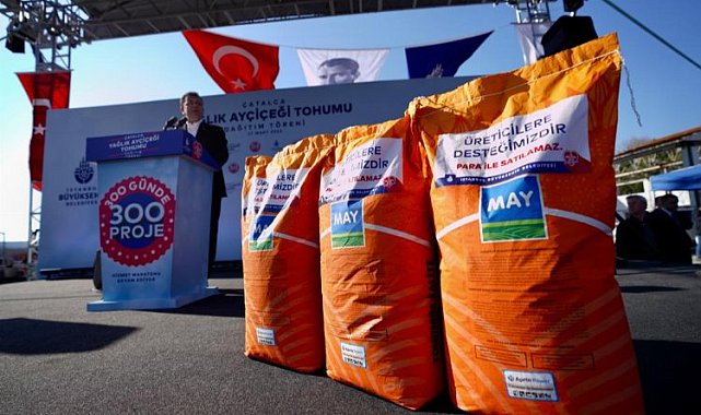 Üreticiye yağlık ayçiçeği tohumu