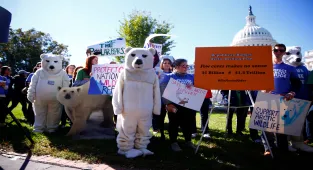US to approve Alaska ‘carbon bomb’ drilling project: Reports
