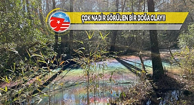 Virginia'da Bataklıkta Gökkuşağı Göleti Oluştu