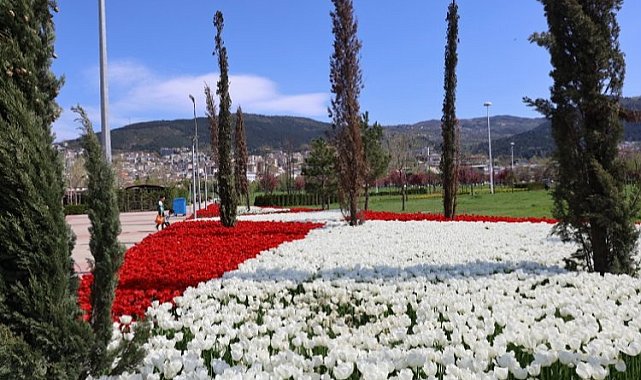 Baharın tüm renkleri Bursa'yı sardı