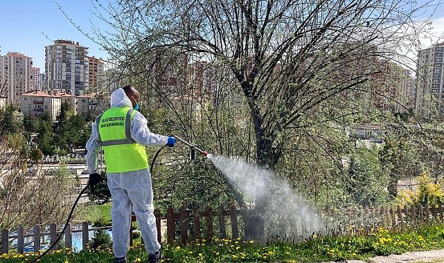 Kayseri Talas'ta sinek ve haşerata erken önlem
