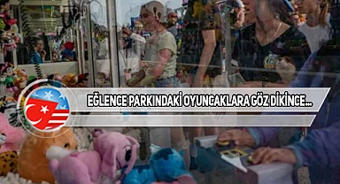 North Carolina'da Çocuk, Yaramazlık Kurbanı Oldu