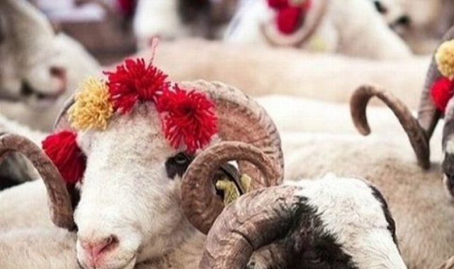 Diyanet'ten kurban hizmetleri tebliği