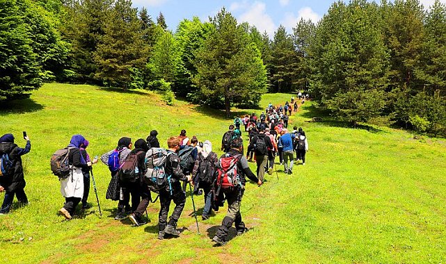 Doğa tutkunlarının rotası Pamukova oldu
