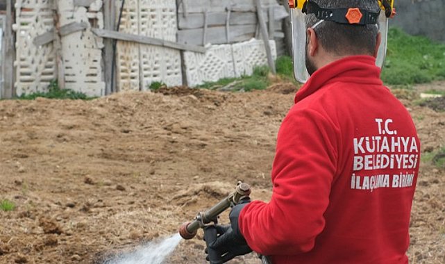 Kütahya'da ilaçlama çalışmaları sürüyor