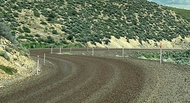 ABD Nevada'da Cırcır Böceği İstilası 