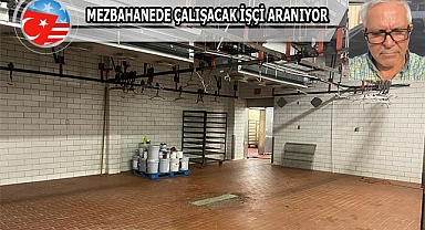 Bağrıyanık Amerika'da Mezbahane Kurdu