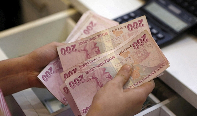 Doların 25 TL'ye Ulaşması Bekleniyor!