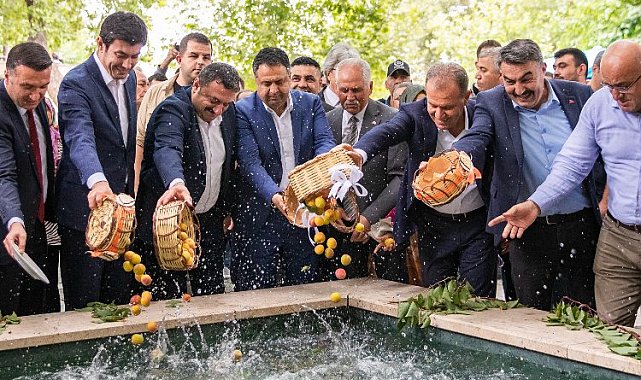 Kayısı Festivali ekonomiye katkı sağlıyor
