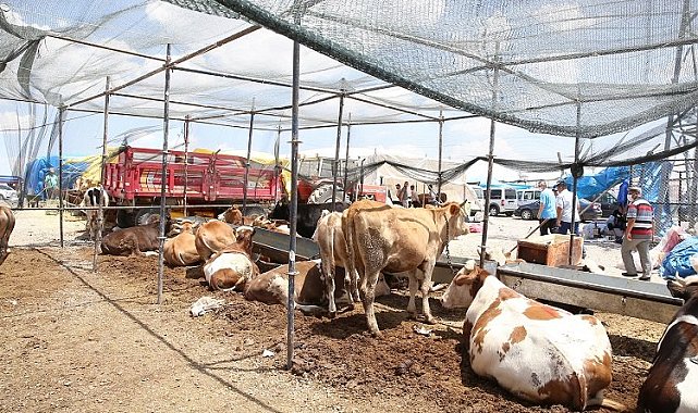 Kayseri Büyükşehir kurban tedbirlerini aldı