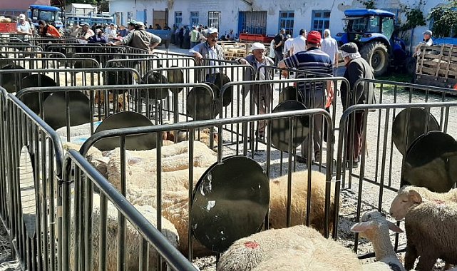 Pazaryeri'nde kurban satış yerine denetleme