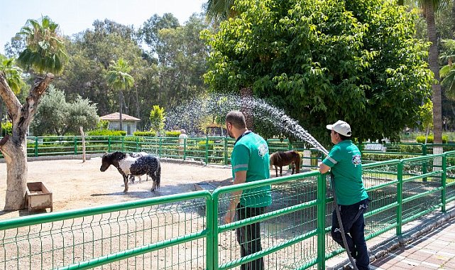 Doğa Parkı'nın sakinleri yağmurlama ile serinliyor