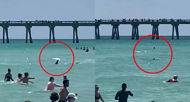 Sörf Yapan Genci Köpek Balığı Isırdı