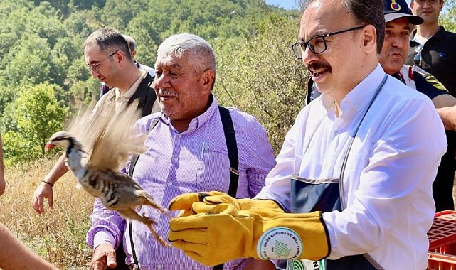 Bilecik'te 400 kınalı keklik doğayla buluştu