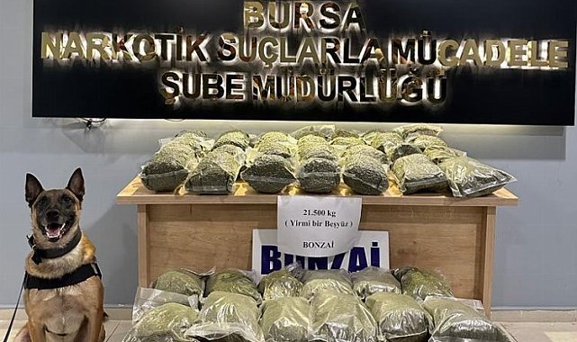 Bursa polisinden uyuşturucu ile mücadelede 188 gözaltı!
