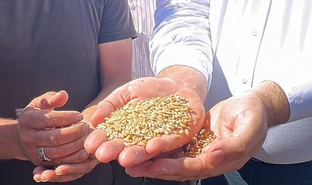 CHP'li Karasu: 1 kilo buğday, 1 bardak çay etmiyor!