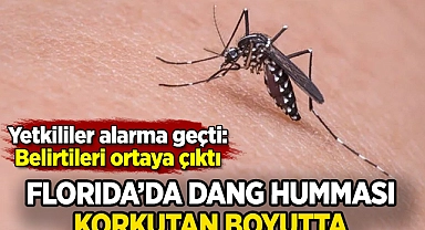 Dang humması Florida'da alarma neden oldu: Belirtileri ortaya çıktı!
