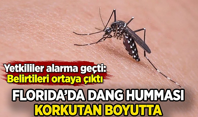 Dang humması Florida'da alarma neden oldu: Belirtileri ortaya çıktı!